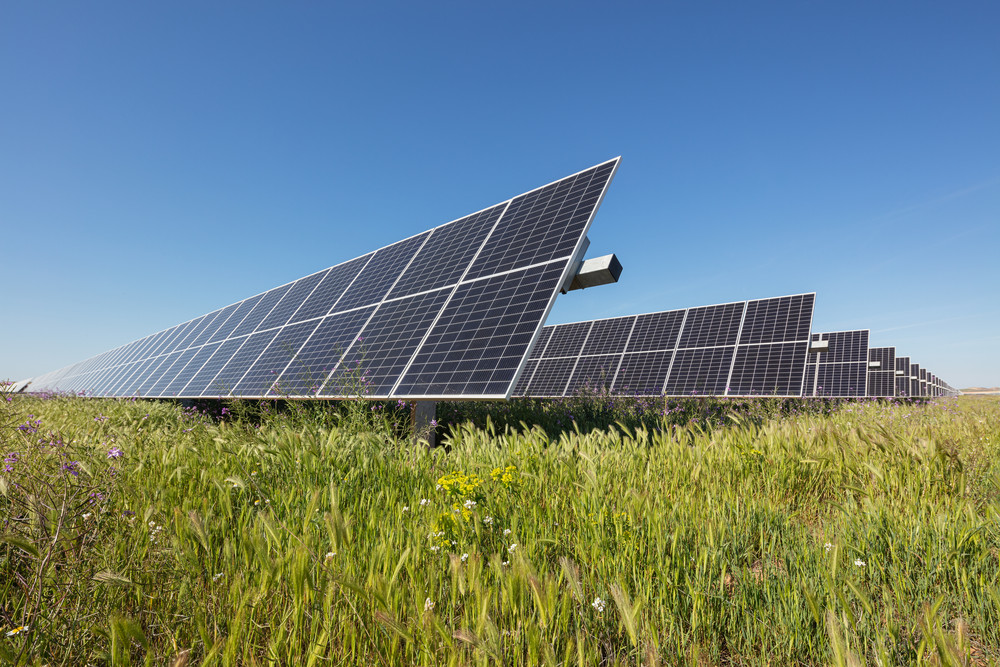 Energy Outlook 2025 : les grandes tendances et scénarios énergétiques